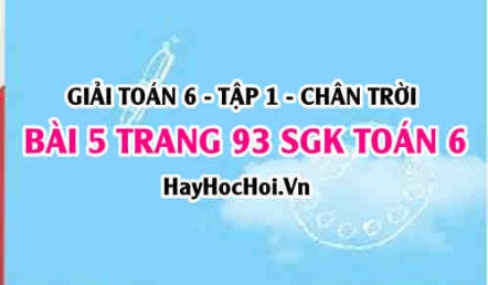 Giải bài 5 trang 93 Toán 6 Tập 1 SGK Chân trời sáng tạo